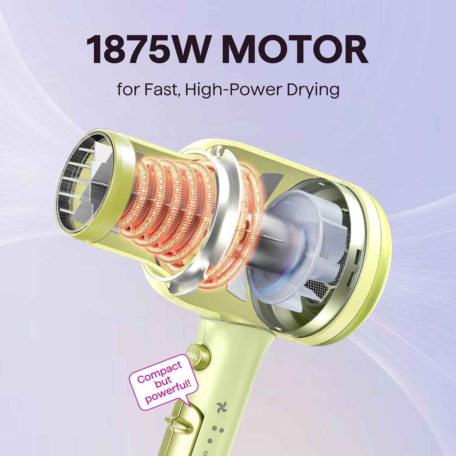Wavytalk Blown Away Ionic Hair Dryer with Diffuser for Curly Hair